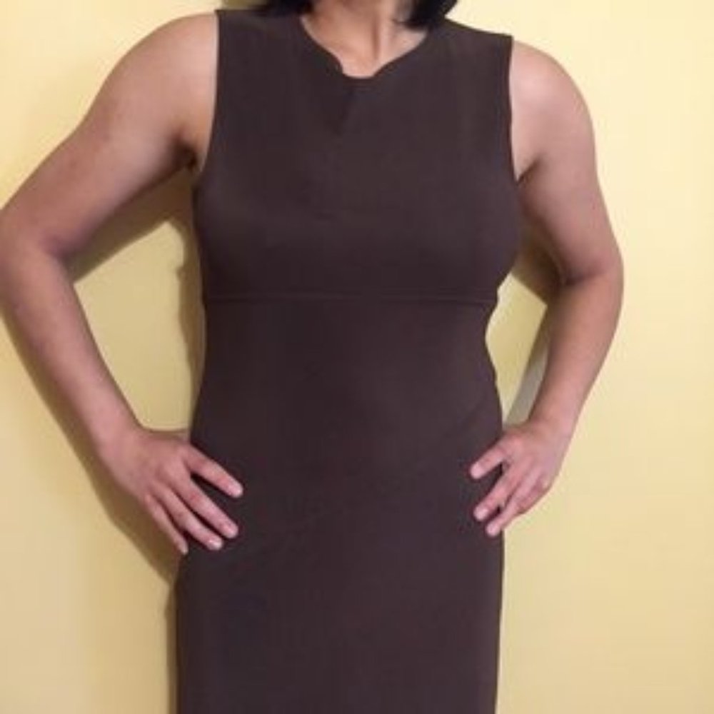 Express Brown Knit Dress